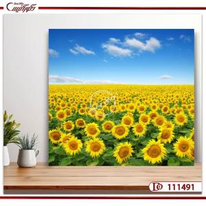 تابلو مزرعه گل آفتاب‌گردان - نماد برکت و ثروت- S111491