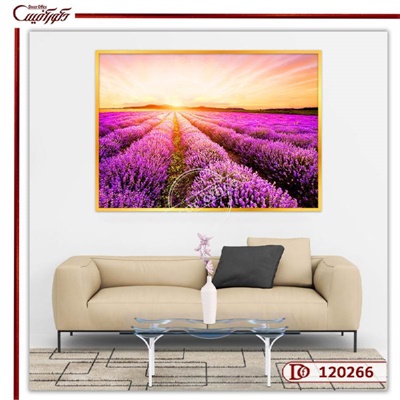 تابلو دشت لوندر و گل های اسطوخودوس R120266 