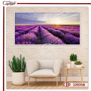 تابلو فنگ شویی دشت لاوندر E120358