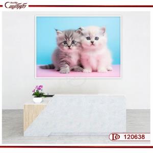 تابلو بچه گربه R120638