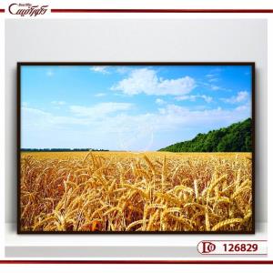 تابلو گندمزار فراوانی و شکوفایی | R126829 