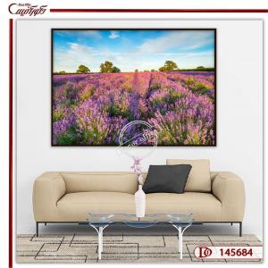 تابلو دشت لوندر R145684