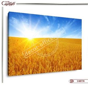 تابلو مزرعه گندم زار R8774