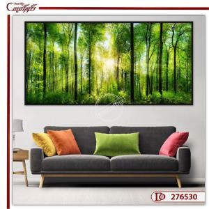 تابلو طبیعت و منظره جنگل سبز با نور خورشید عالی E276530