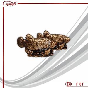 مجسمه دو ماهی آروانا F-01 