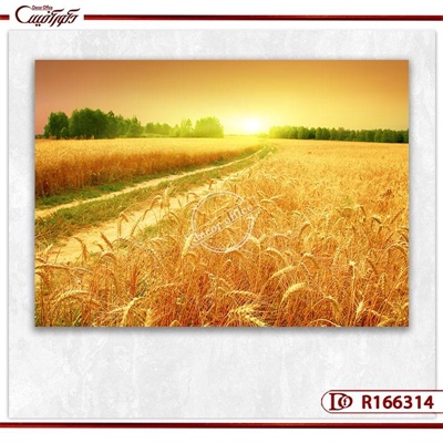 تابلو گندم زار طلوع برکت R166314