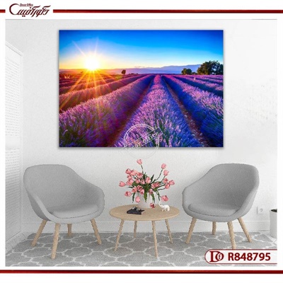 تابلو دشت اسطوخودوس و طلوع خورشید R848795