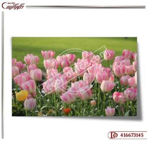 کاغذ دیواری سه بعدی گل 3145