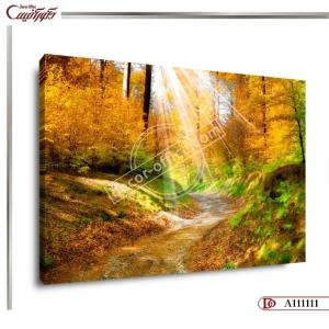 تابلو طبیعت R1111