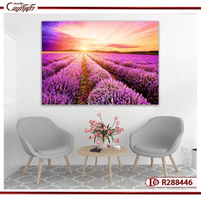 تابلو دشت لوندر و گل های اسطوخودوس R120266 