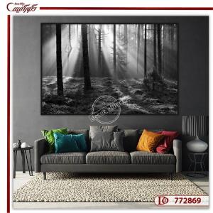 تابلو منظره جنگل سیاه و سفید R772869